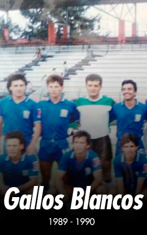 Luis Hernández en los Gallos Blancos